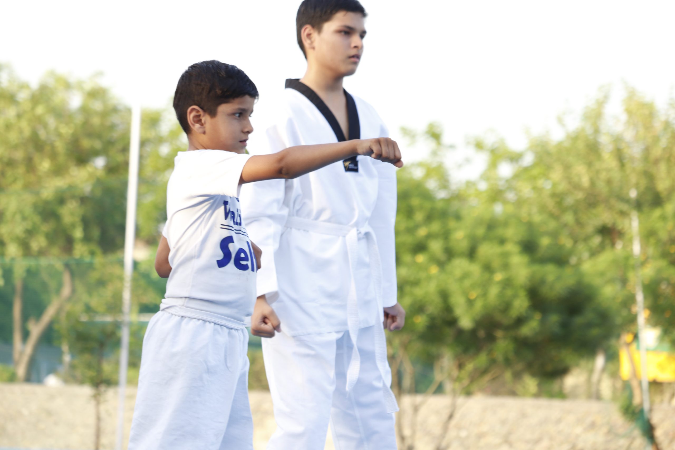 Taekwondo coaching Taekwondo coaching