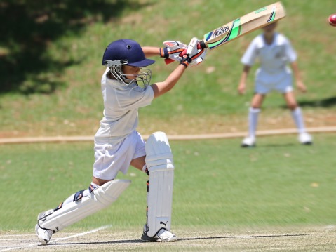 cricket camps
